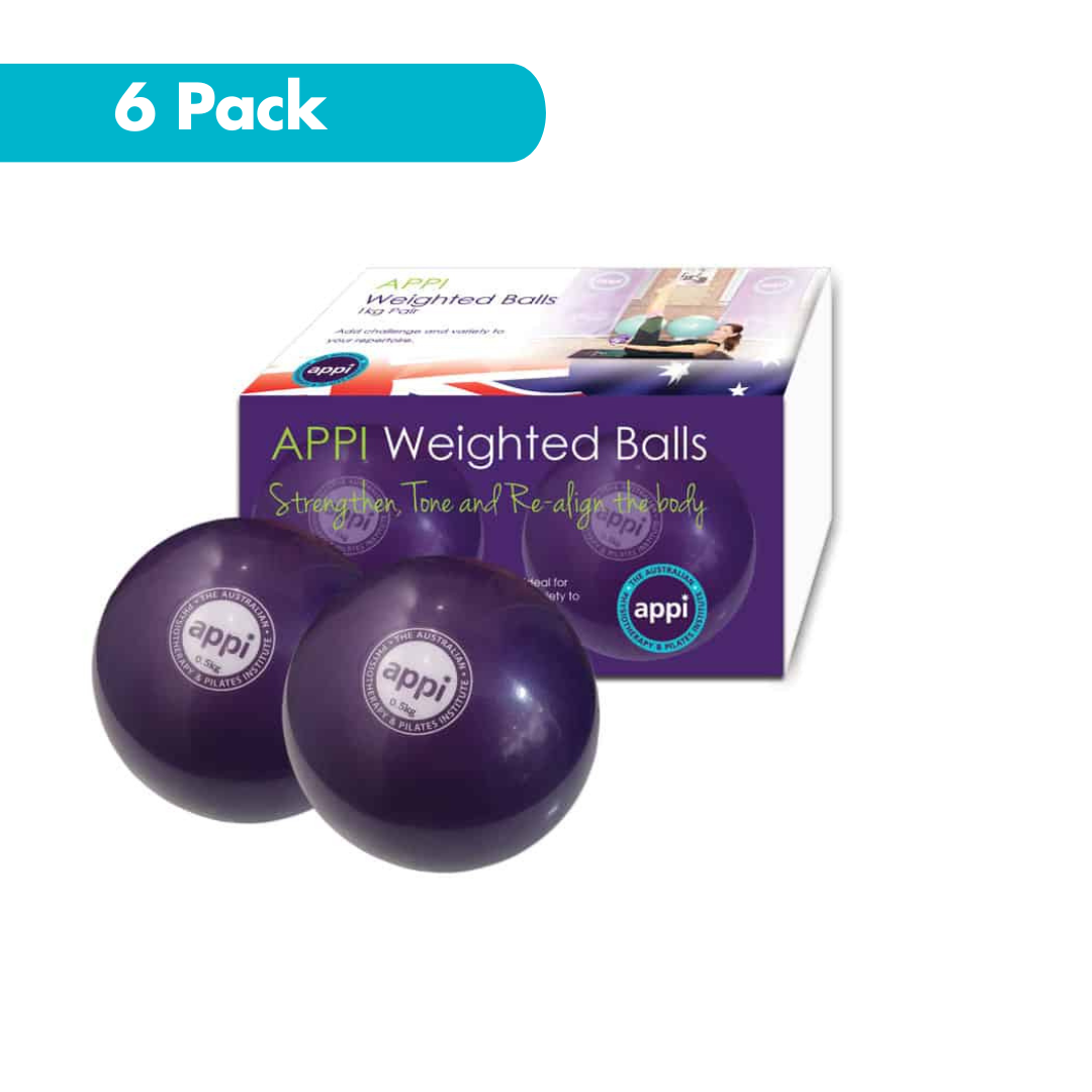 APPI Weighted Ball - 0.5kg Pair (6 Pack)