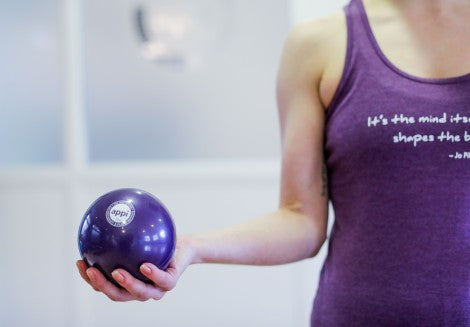 APPI Weighted Ball - 0.5kg Pair (6 Pack)